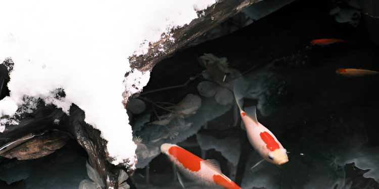 Pond filters.