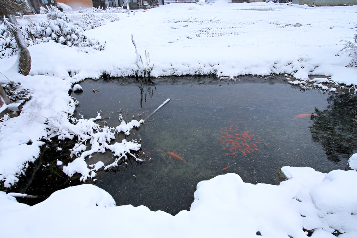  Pond Freezes